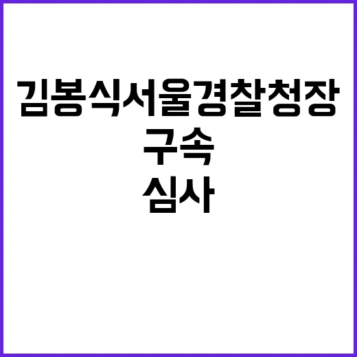 구속심사 김봉식 서…