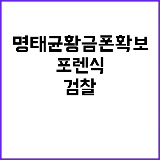 명태균 황금폰 확보 검찰 포렌식 작업 주목!