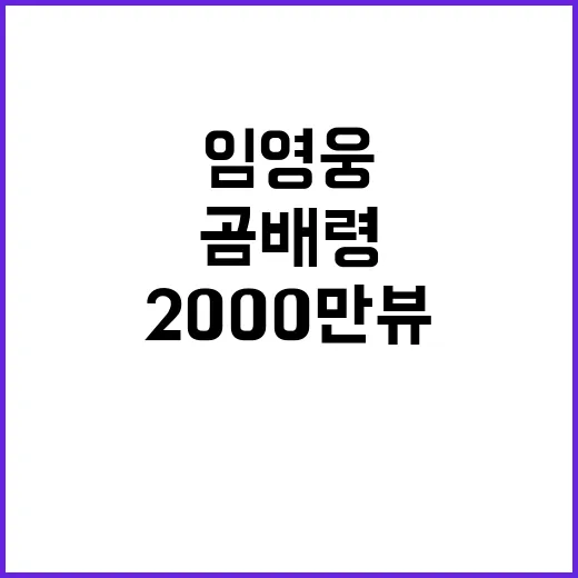 곰배령 영상 임영웅 2000만뷰 달성!