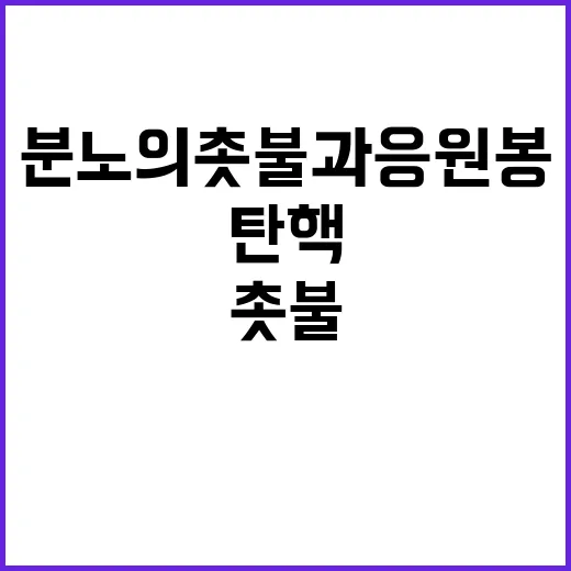 탄핵 분노의 촛불과 응원봉 속 열기