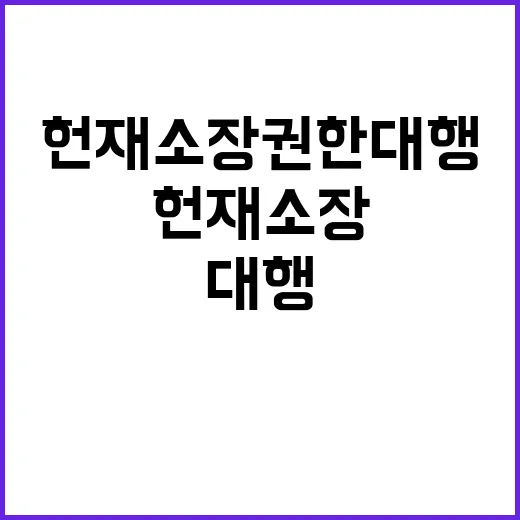 신속 재판 헌재소장…