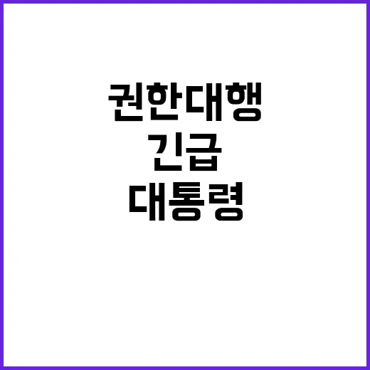 대통령 담화문 권한…