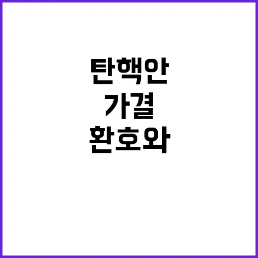 탄핵안 가결 여의도…