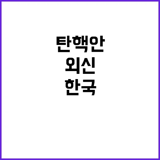 탄핵안 외신의 한국…