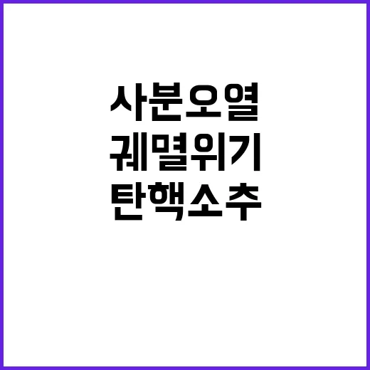 탄핵소추 여당 사분…