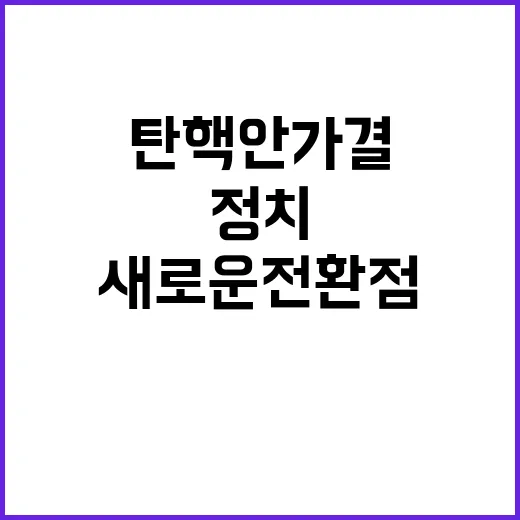 탄핵안 가결… 정치…