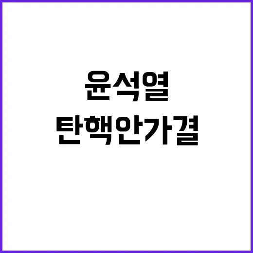 중국 윤석열 탄핵안…