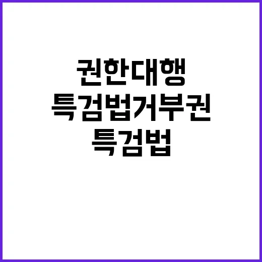 특검법 거부권 권한…