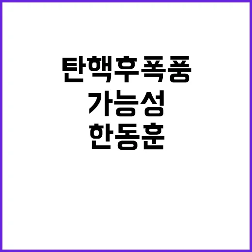 탄핵 후폭풍 한동훈…