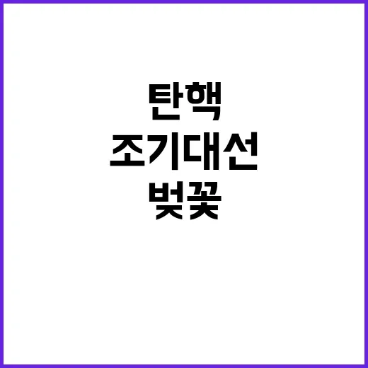 조기대선 벚꽃과 장…