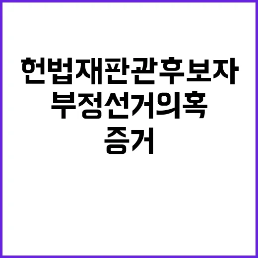 부정선거 의혹 헌법…