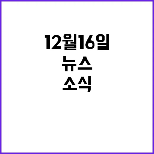 12월 16일 뉴스투나잇 중요한 소식 지금 확인!