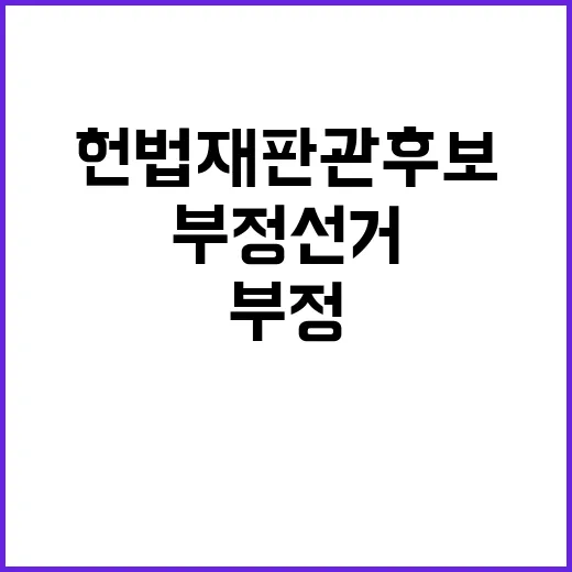 부정선거 증거 없음…