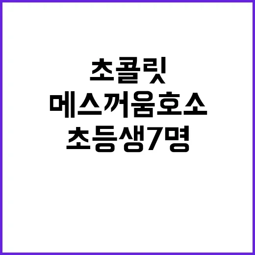 초콜릿 사건 초등생 7명 메스꺼움 호소의 진실!