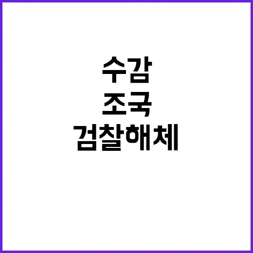 조국 수감 정권 교…