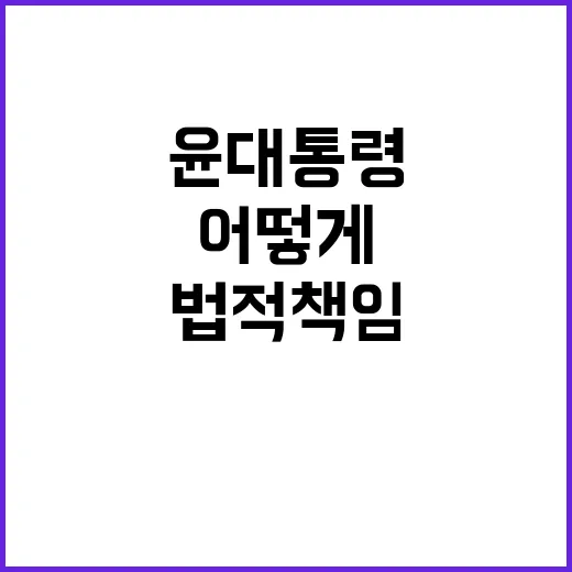 법적 책임 윤 대통…