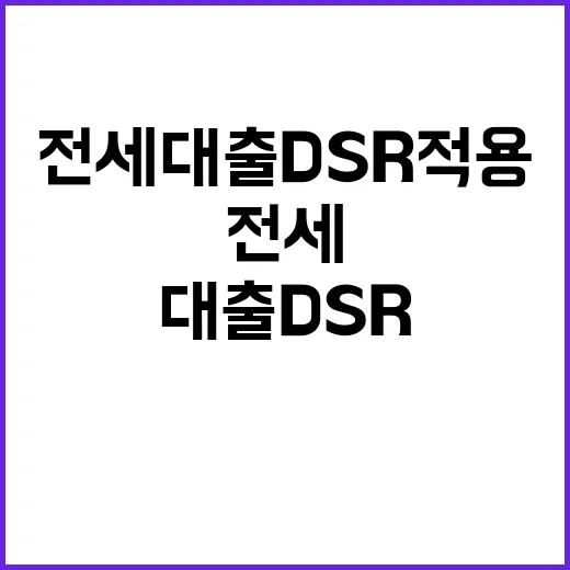 전세대출 DSR 적용 금융위의 결정 아직 미정!