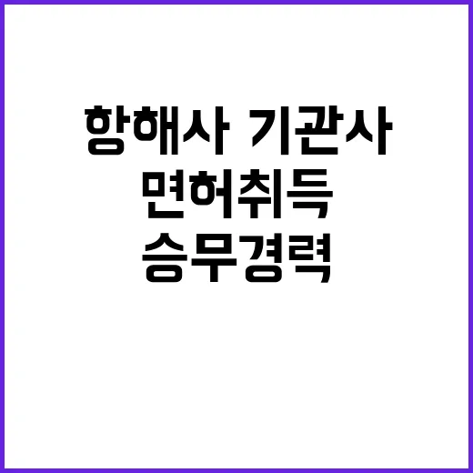 항해사·기관사 면허…