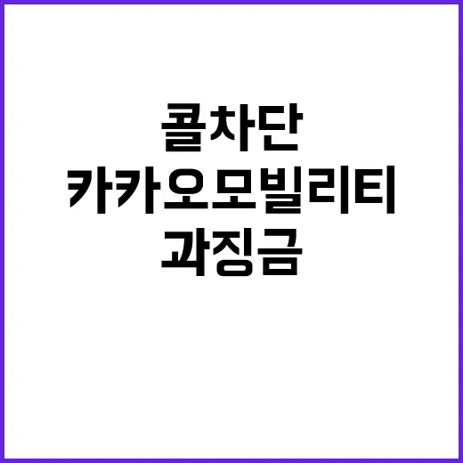 콜 차단 카카오모빌…