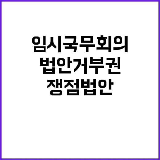 임시국무회의 쟁점법…