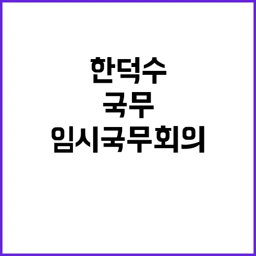 한덕수 임시국무회의…