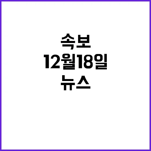 뉴스현장 12월 18일 이시각 긴급속보!