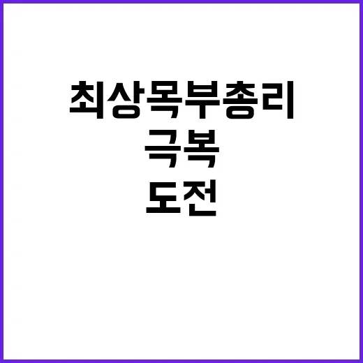 투자 최상목 부총리의 대내외 도전요인 극복 전략!