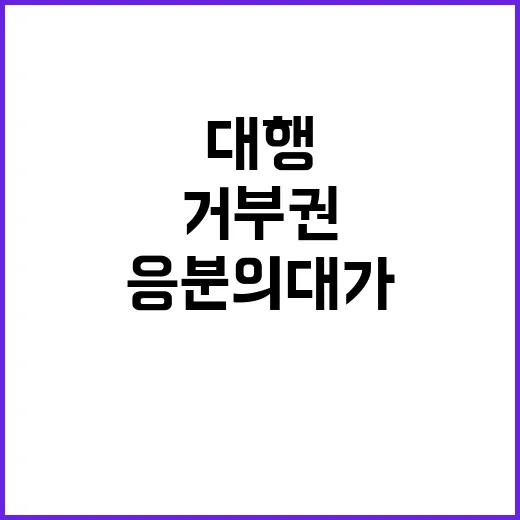 대행 거부권 당연한…