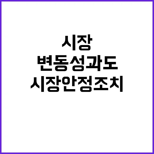 금융 변동성 과도시 추가 시장안정조치 신속 시행!