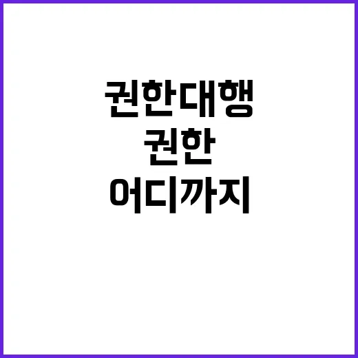 권한대행 그 권한의 한계는 어디까지일까?