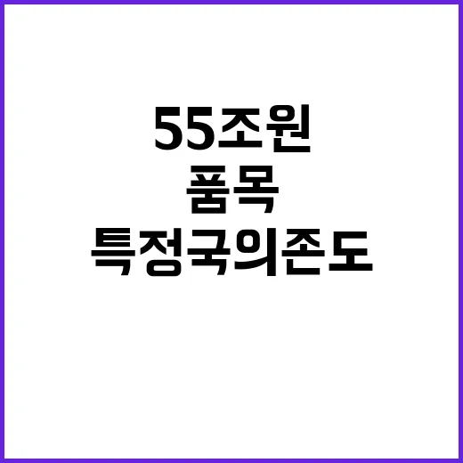 경제안보품목 특정국 의존도 낮추기 위한 55조 원!