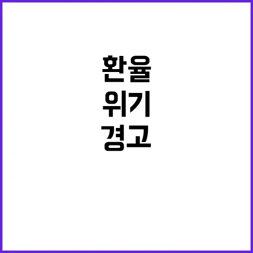 환율 급등 정부 경고 무색해지는 금융위기 관망!