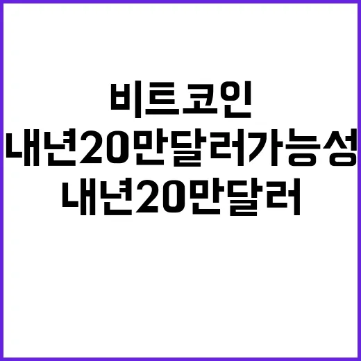 비트코인 내년 20…