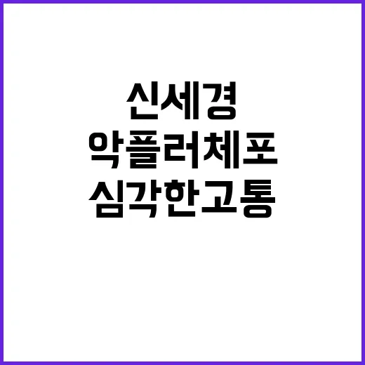 “악플러 체포 신세…