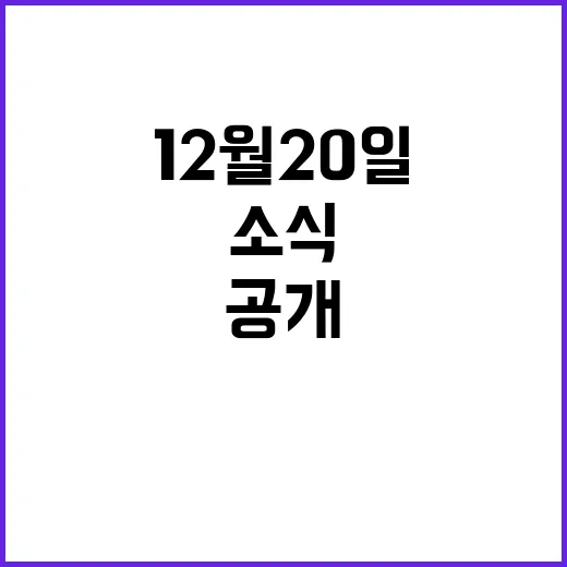 12월 20일 중요…