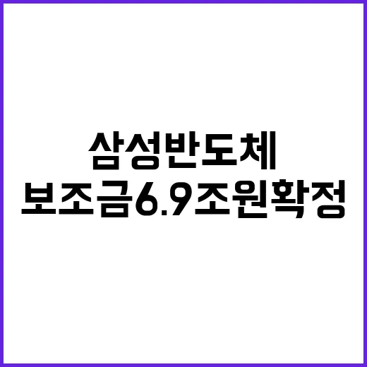 삼성 반도체 美 보…