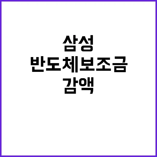 미 삼성 반도체 보…