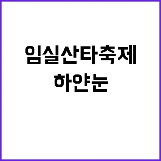 하얀 눈 임실 산타…