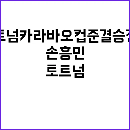 손흥민 결승골로 토트넘 카라바오컵 준결승 진출!