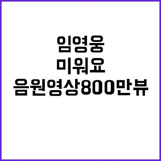 임영웅 ‘미워요’ 음원영상 800만뷰 초읽기!