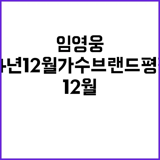 임영웅 2024년 12월 가수 브랜드평판 3위!