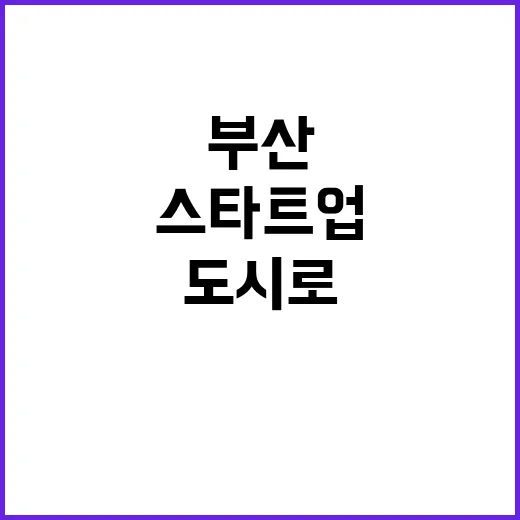 부산 스타트업 최적…