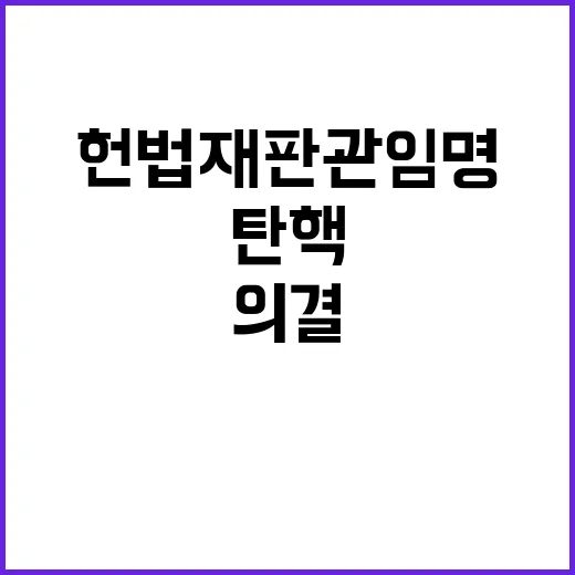 탄핵 의결 헌법재판관 임명 논란에 쏠리는 눈!