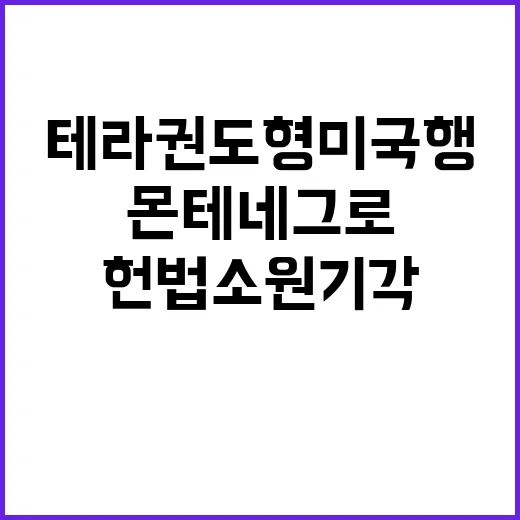 테라 권도형 미국행 확정? 몬테네그로 헌법소원 기각!