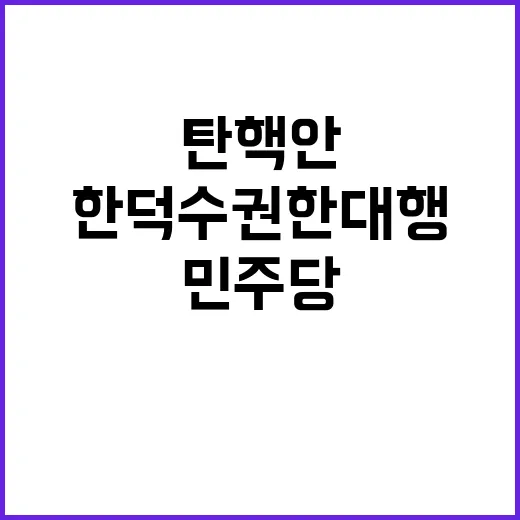 탄핵안 민주당 한덕…