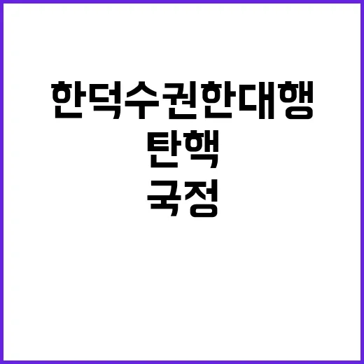 탄핵 한덕수 권한대…