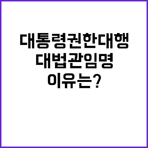 대법관 임명 대통령…