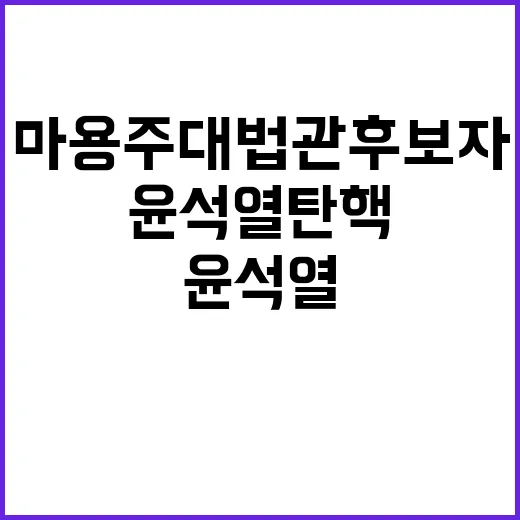 마용주 대법관 후보자 윤석열 탄핵 이유 폭로!