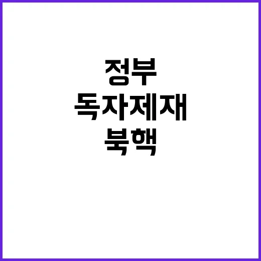 북핵 자금줄 정부 …