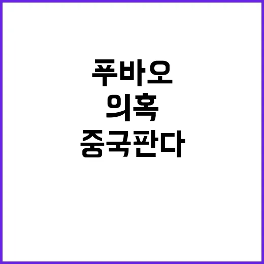 푸바오 팬들 의혹 중국 판다기지 무슨 일?